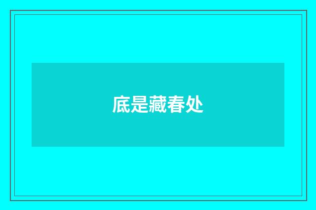 底是藏春处