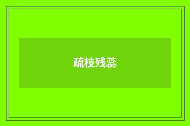 疏枝残蕊
