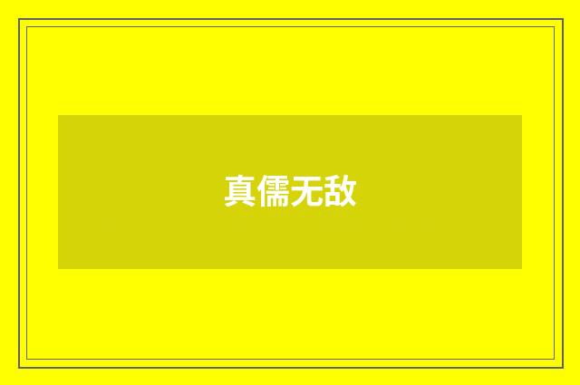 真儒无敌