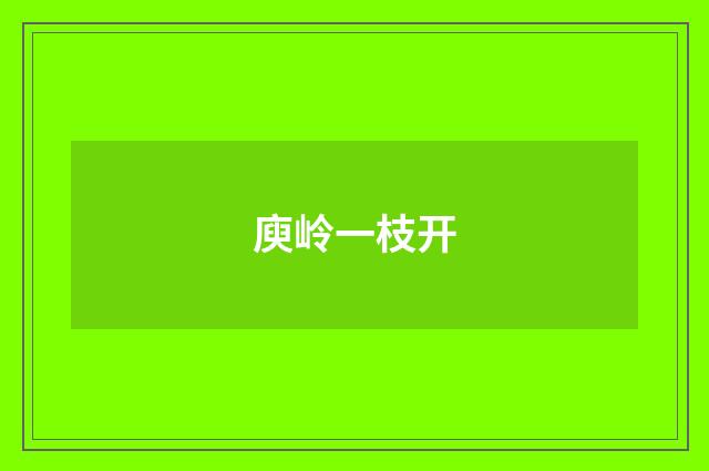庾岭一枝开