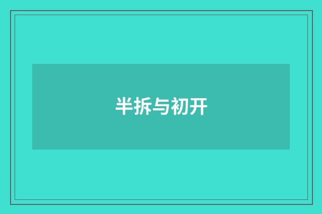 半拆与初开