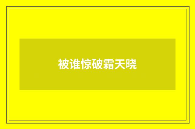 被谁惊破霜天晓