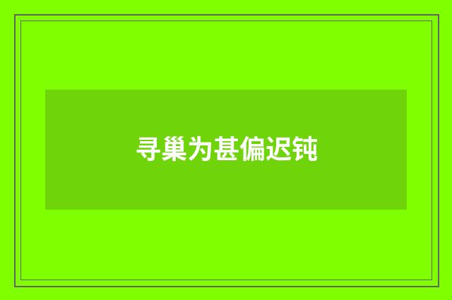 寻巢为甚偏迟钝