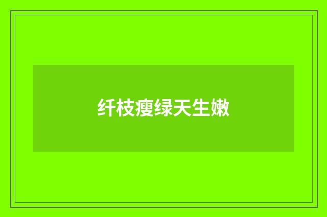 纤枝瘦绿天生嫩