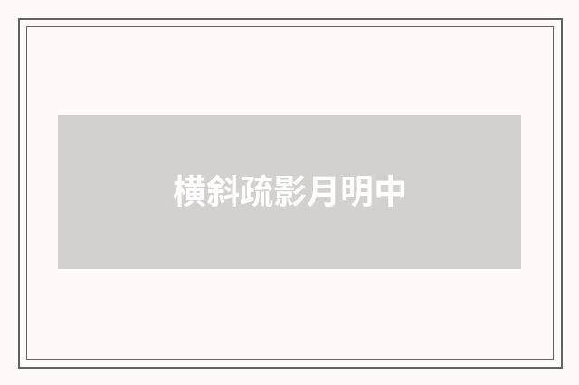 横斜疏影月明中