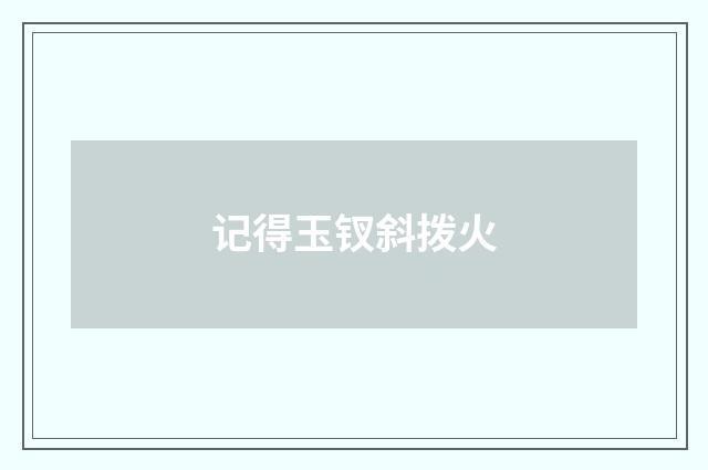 记得玉钗斜拨火