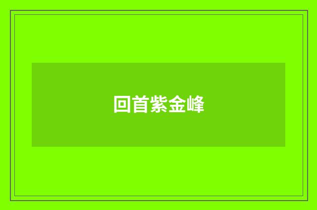 回首紫金峰