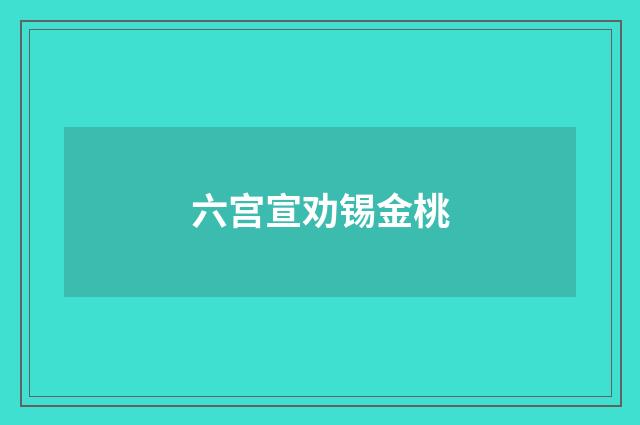 六宫宣劝锡金桃