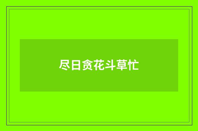 尽日贪花斗草忙