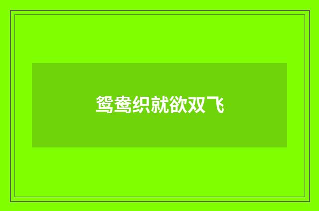 鸳鸯织就欲双飞