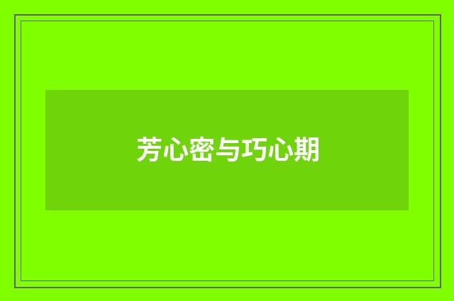 芳心密与巧心期