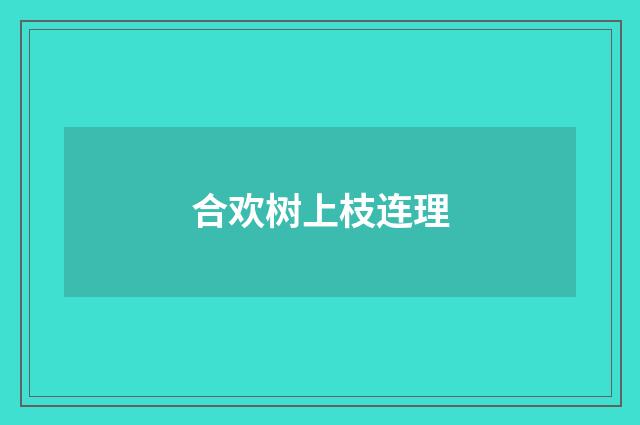 合欢树上枝连理