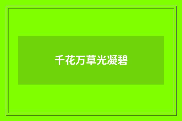 千花万草光凝碧