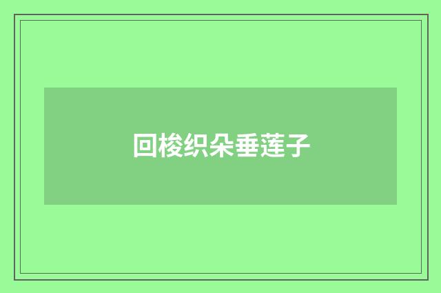 回梭织朵垂莲子