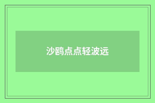 沙鸥点点轻波远