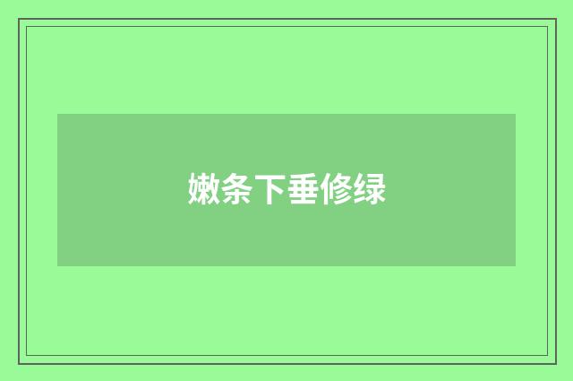 嫩条下垂修绿