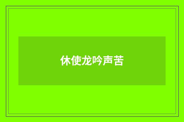 休使龙吟声苦