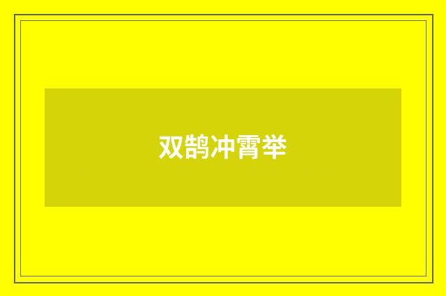 双鹄冲霄举