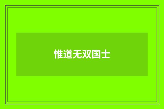 惟道无双国士