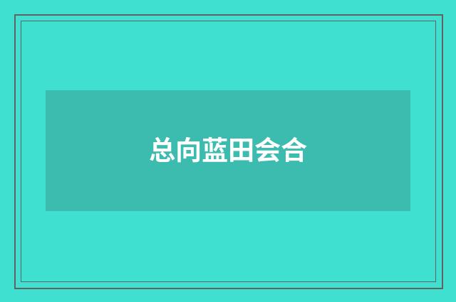 总向蓝田会合