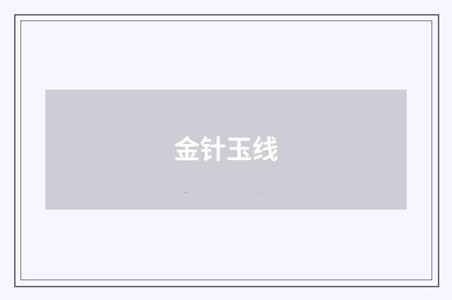 金针玉线