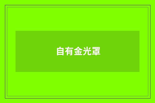 自有金光罩