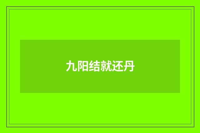 九阳结就还丹