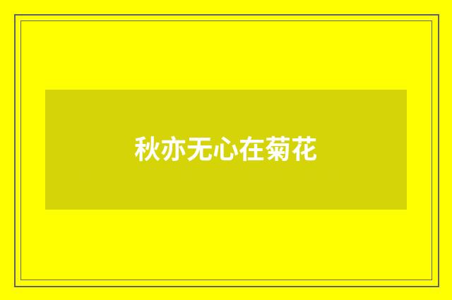 秋亦无心在菊花