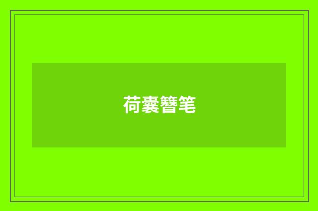 荷囊簪笔
