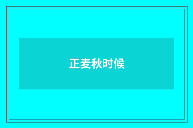 正麦秋时候