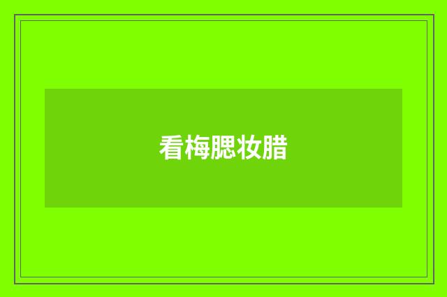 看梅腮妆腊