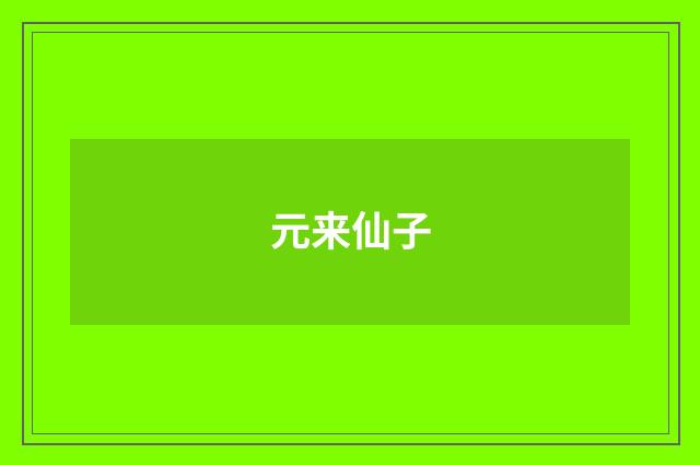 元来仙子