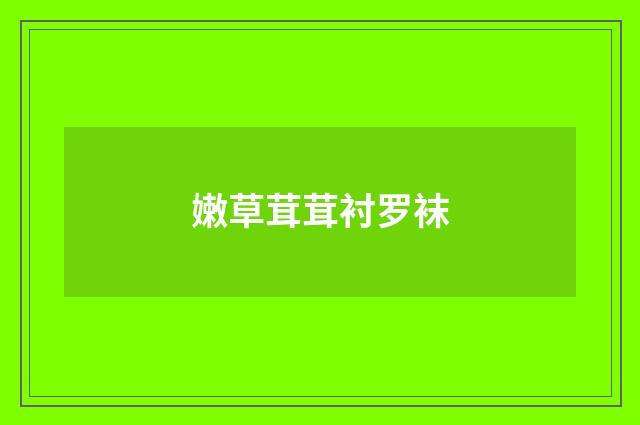 嫩草茸茸衬罗袜