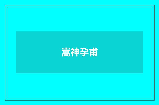 嵩神孕甫