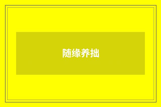 随缘养拙