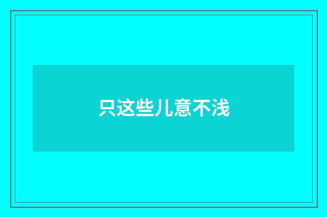 只这些儿意不浅