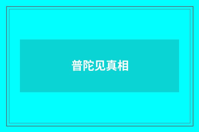 普陀见真相