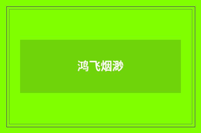 鸿飞烟渺