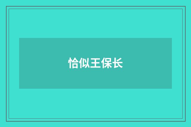 恰似王保长