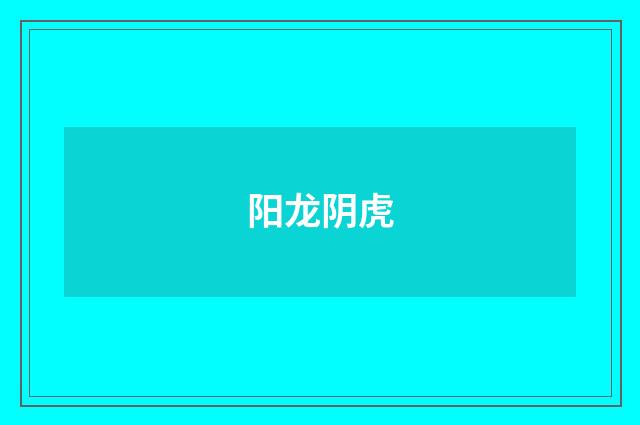 阳龙阴虎