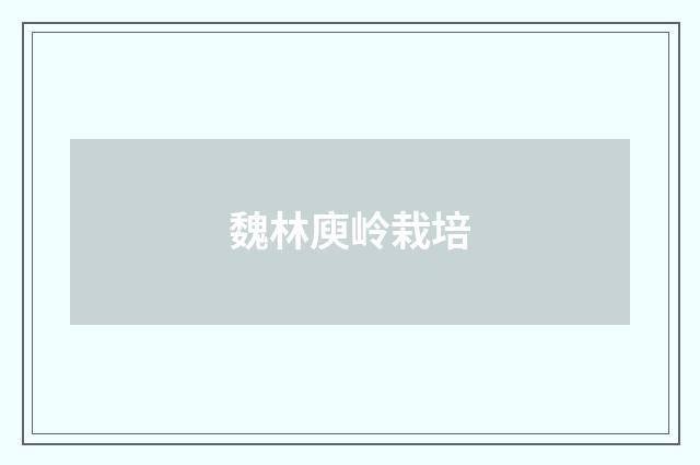 魏林庾岭栽培