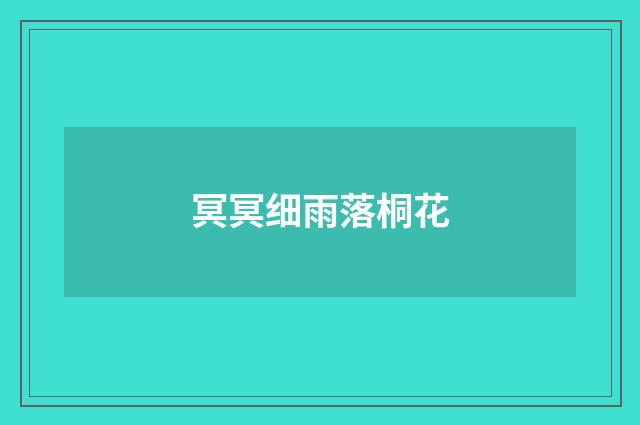 冥冥细雨落桐花