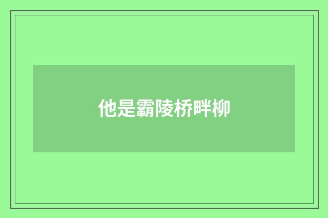 他是霸陵桥畔柳