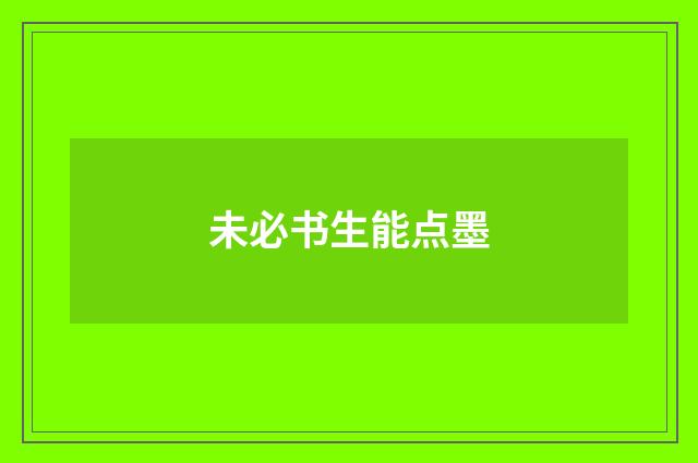 未必书生能点墨