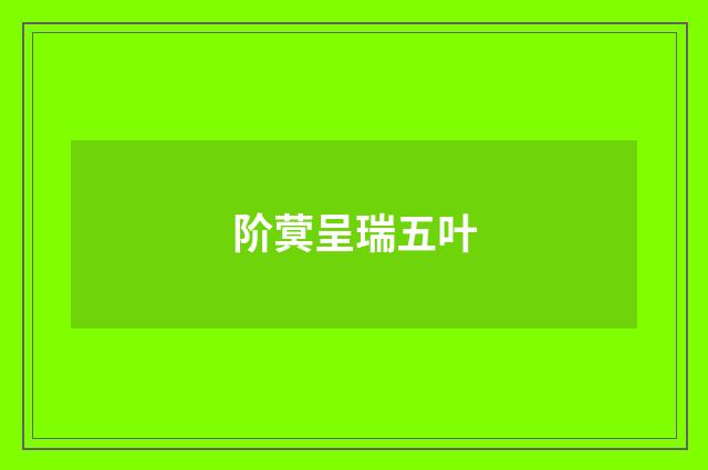 阶蓂呈瑞五叶