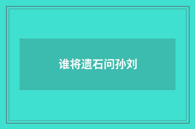 谁将遗石问孙刘