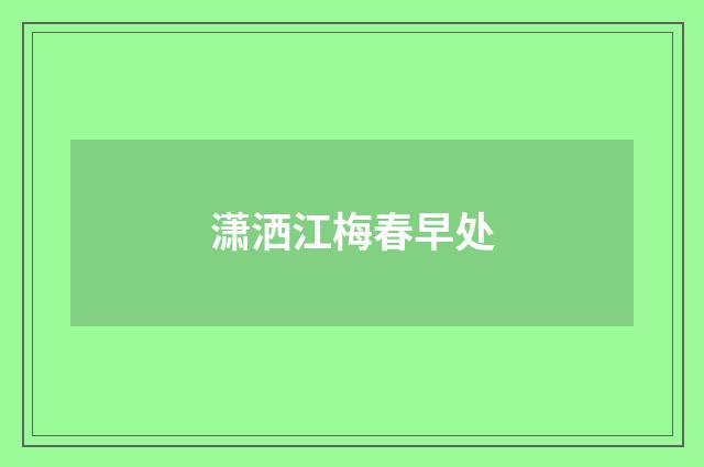 潇洒江梅春早处
