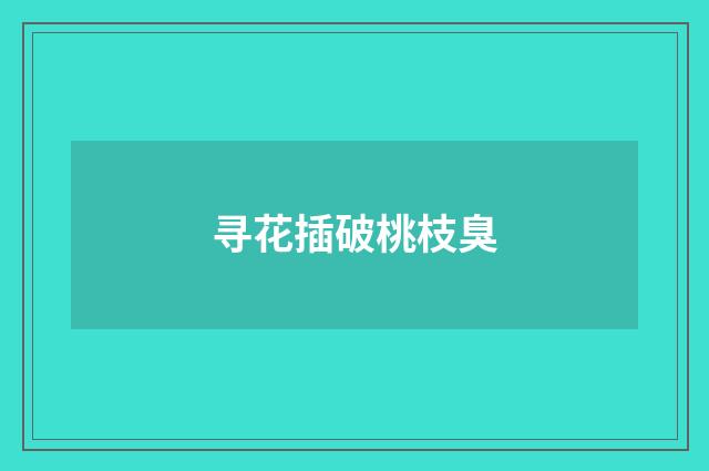寻花插破桃枝臭