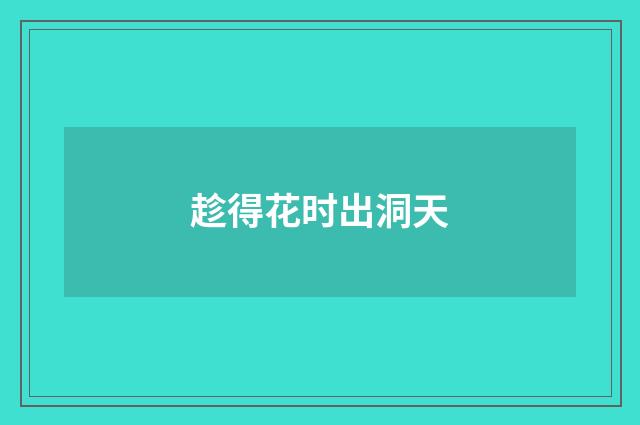 趁得花时出洞天