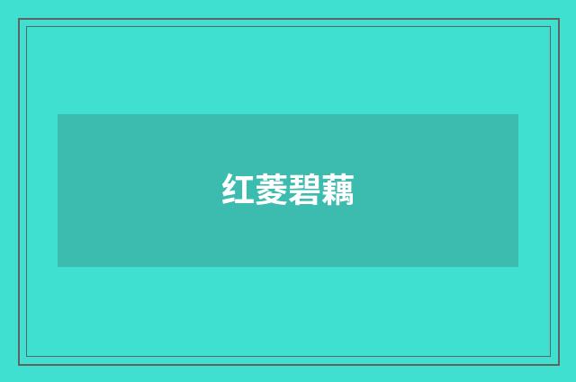 红菱碧藕
